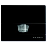 Busch-Jaeger 6855
