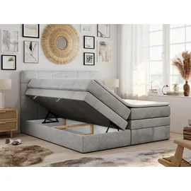 MKS Meble Boxspringbett mit Bettkasten ¦ grau ¦ Maße (cm): B: 140 H: 110