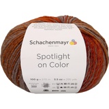 Schachenmayr since 1822 Schachenmayr Spotlight On Color, 100G autumn color Handstrickgarne