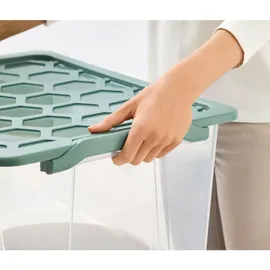 Rotho Aufbewahrungsbox EVO Safe 65 L 1-tlg. grün