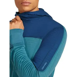 Icebreaker Merino Blend 300 RealFleece Kapuzenjacke Herren Orange L