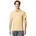 PointTM Sand Dune S