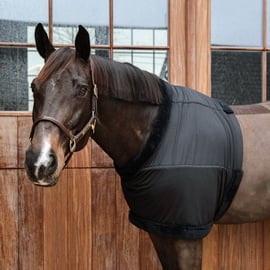 Kentucky Horsewear Brustschutz Widerristschutz Schwarz M