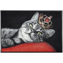 Wash+Dry Royal Cat 50 x 75 cm Rot/Schwarz