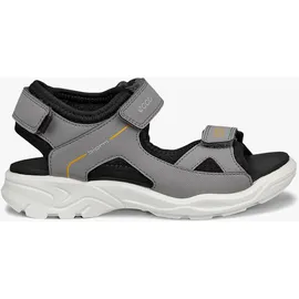 ECCO Biom Raft Grau 24