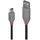 Lindy USB-Kabel USB 2.0 USB-A Stecker, USB-Mini-B Stecker 2.00 m Schwarz, Grau 36723