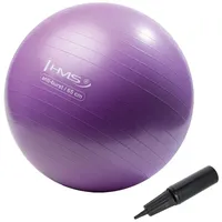 HMS yb02 Neu 65cm Lila Gymnastikball HMS