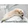 MALIE Jumbo 140 x 200 cm H4