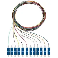 Rutenbeck Pigtails 12xSC OS2 2m