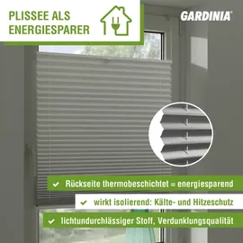 GARDINIA Plissee abdunkelnd, EASYFIX Thermo-Plissee verspannt mit zwei Bedienschienen, Elfenbein, 60 x 130 cm