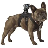 GoPro Fetch Hundehalterung (ADOGM-001)