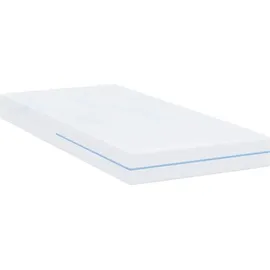 vidaXL Kaltschaum 80 x 200 cm H3