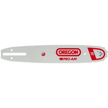 Oregon 163SFGD025 Führungsschiene Pro-AM 40 cm 0,325 Zoll 1,6 mm