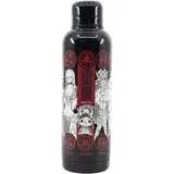 Stor One Piece Edelstahl-Trinkflasche Character