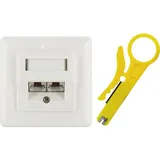 Schwaiger Netzwerk Anschlußdose