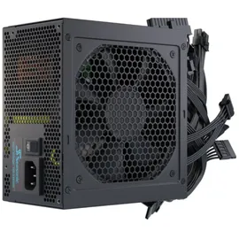 Seasonic G12 GC-750 (80+Gold)