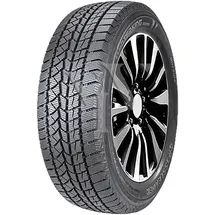 Doublestar Winterking DW02 255/45 R19 104T XL