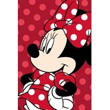 Jerry Fabrics Minnie Mouse Flauschdecke Schmusedecke Kuscheldecke 100 x 150 cm