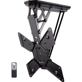 SpeaKa Professional TV-Deckenhalterung 23-55''