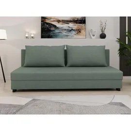 Homesy Schlafcouch 2-Sitzer Grün