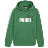 Puma ESS+ 2 Col Big Logo Hoodie FL B Grün, 164