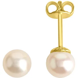 Orolino Gold 585 mit weißen Perlen 5,5-6mm rund