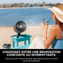 Shark FlexBreeze Pro Mist FA300EU schwarz