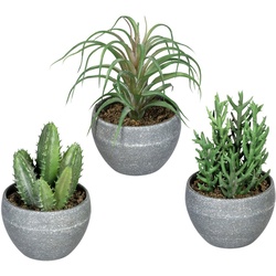 Künstliche Zimmerpflanze Sukkulenten Sukkulente, Creativ green, Höhe 14 cm, im Melamintopf, 3er Set grün