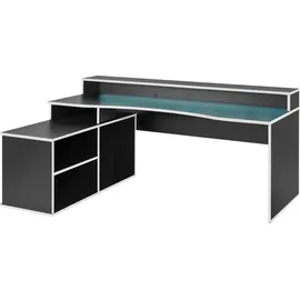 Forte Tezaur Gaming Desk mit RGB-Beleuchtung und Halterungen