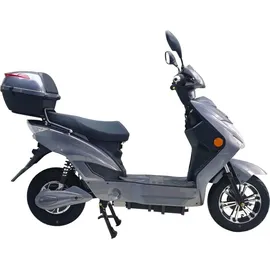 urban hopper ENJOY 1,0 kW 45 km/h Grau