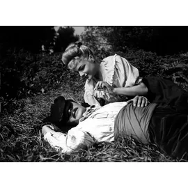 arthaus / studiocanal (plaion pictures) Goldhelm - 70th Anniversary Edition (+ Blu-ray)