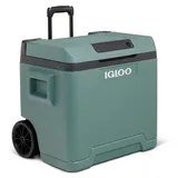 Igloo IE42 42 l