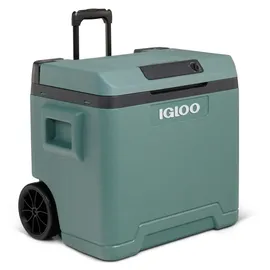 Igloo IE42 42 l
