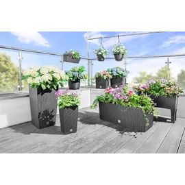 Prosperplast Rato Case High 80 x 33 x 62 cm anthrazit