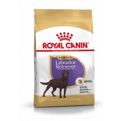Royal Canin Sterilised Adult Labrador Retriever Hundefutter 12 kg