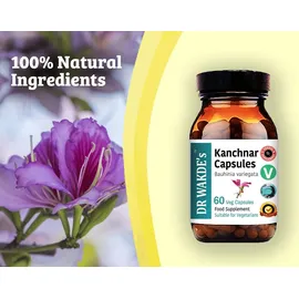 DR WAKDE's Kanchnar Kapseln 60 Vegi Caps