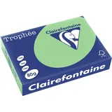 Clairefontaine Trophée A4 160 g/m2 250 Blatt vert nature