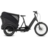 Cube Trike Cargo Hybrid 750 grey'n'reflex Modell 2025