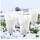 luxuskollektion Frostschutzhaube Pflanzen Winter 80 x 60 cm 4er Set
