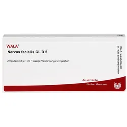 Nervus Facialis Gl D5 Ampullen