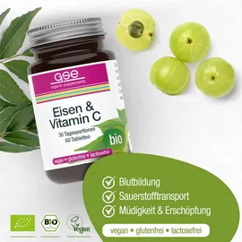 GSE-Vertrieb Eisen & Vitamin C Complex Tabletten 60 St.
