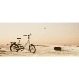tenways CGO Compact 2026 20 Zoll RH 45 cm sand