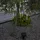 Star Trading LED Solar Lichterkette 180 cm Acryl Transparent