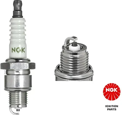 NGK 4838 für MERCURY