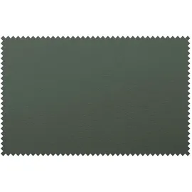 HIMOLLA Fernsehsessel 7568 Leder 77 x 110 x 93 cm Grün elektrisch