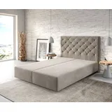 DeLife Boxspringgestell Dream-Great 140x200 cm Mikrofaser Beige