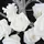 MARELIDA LED Lichterkette Mini Rosen 90 cm Weiß