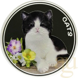 1 Unze Silbermünze Fiji Cats 2022 - prooflike - coloriert (2. Ausgabe)