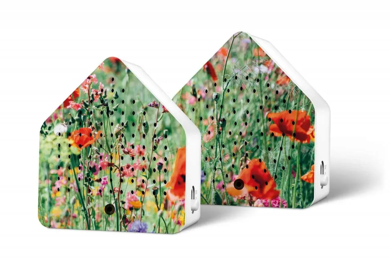 Relaxound Zirpybox Limited Edition Spring 24 Wild Flowers