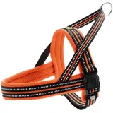 Hunter Norwegergeschirr Meldal 37 - 44 cm, orange